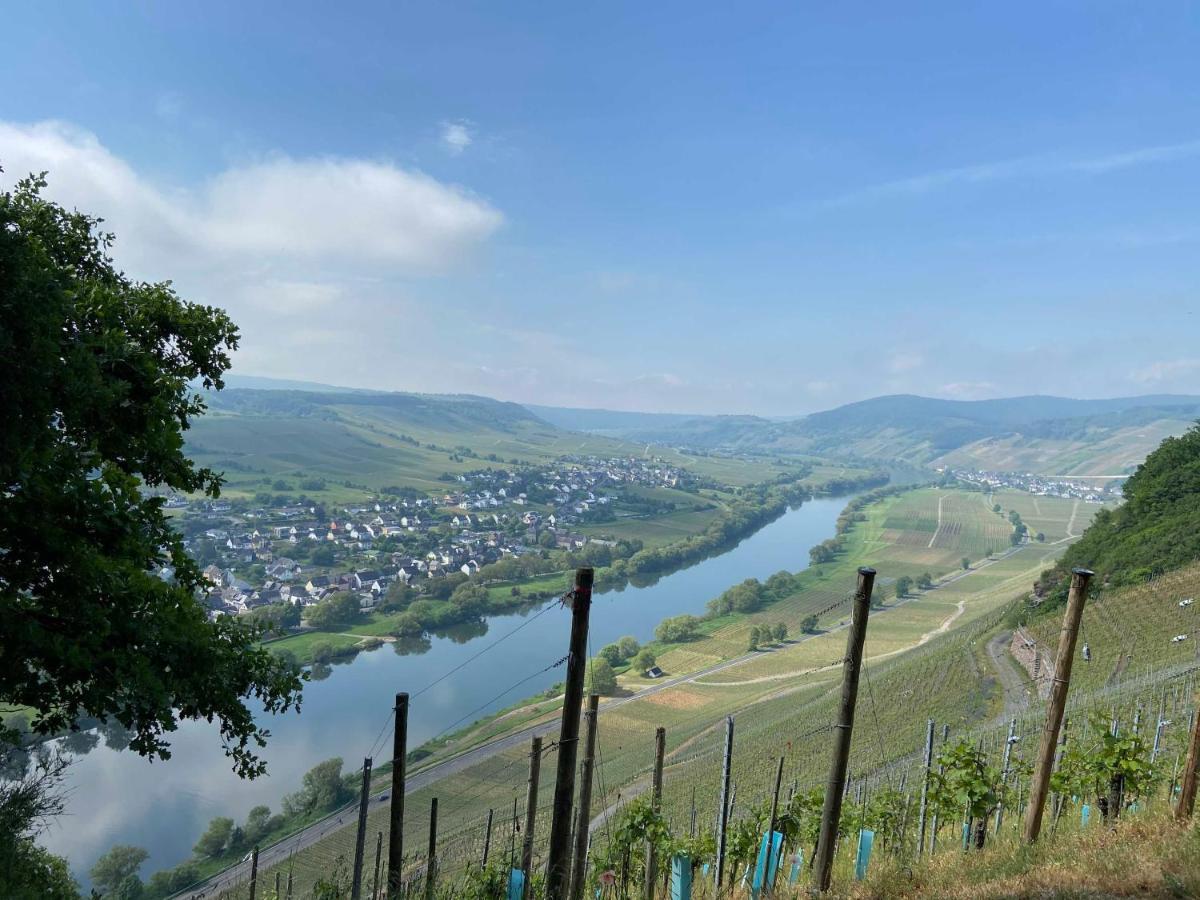 Neu!!! Moselbleibe Winzerhaus Kues Lejlighed Bernkastel-Kues Eksteriør billede