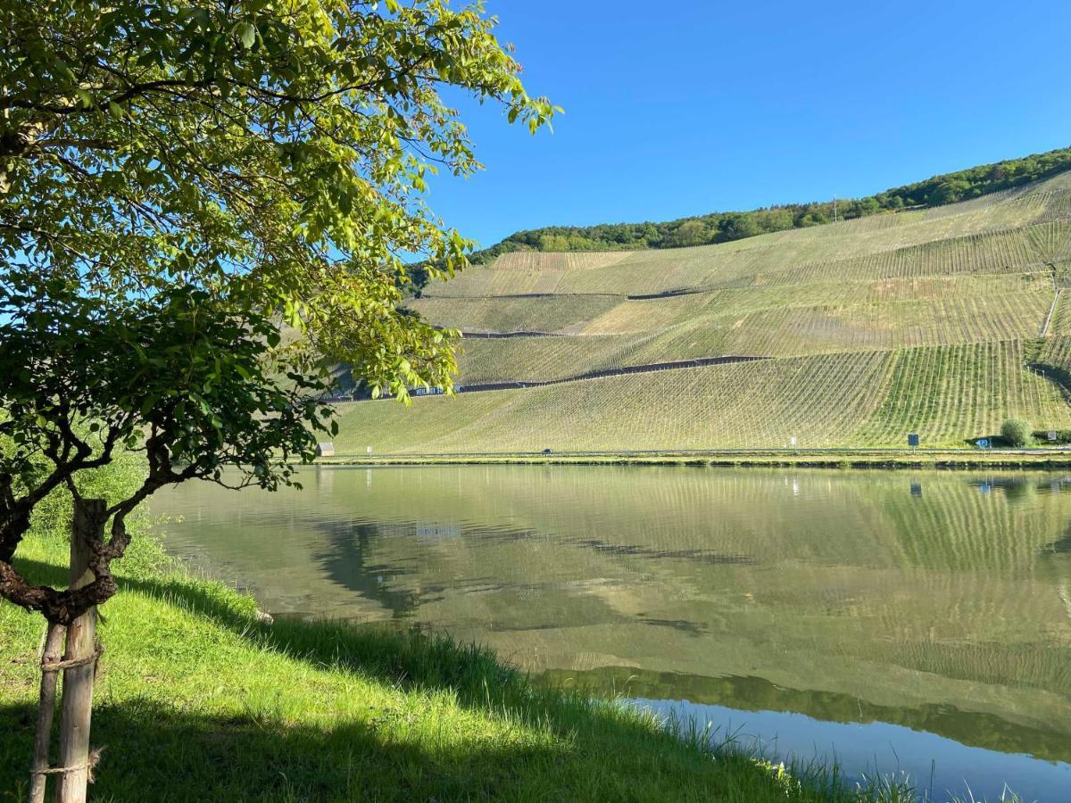 Neu!!! Moselbleibe Winzerhaus Kues Lejlighed Bernkastel-Kues Eksteriør billede